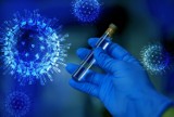 Sanepid informuje o 25 nowych zakażeniach koronawirusem w Radomiu i powiecie radomskim