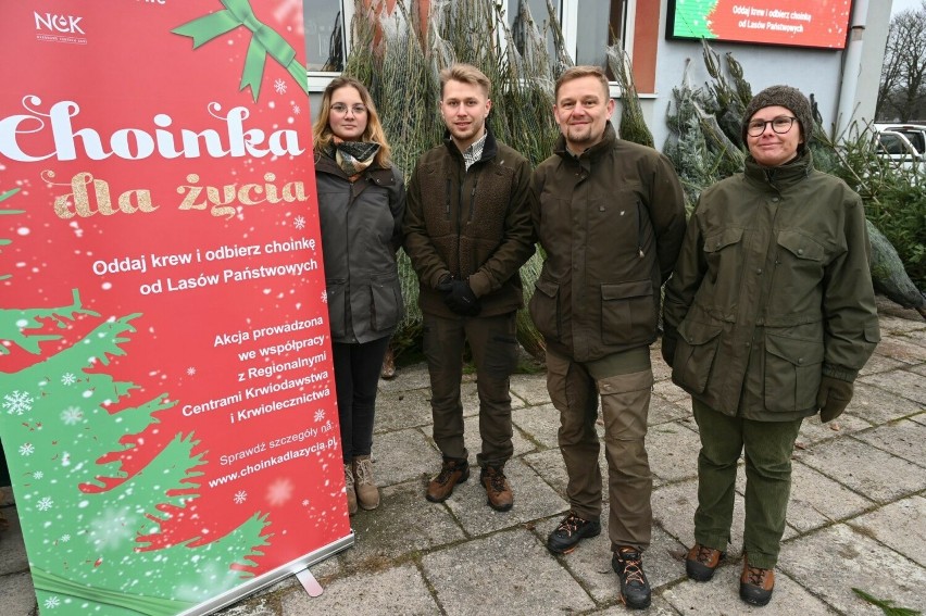 Świętokrzyscy leśnicy w Kielcach rozdawali pachnące drzewka.