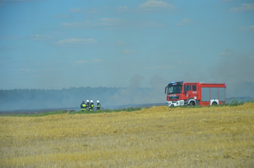 Wielki pożar w okolicach Grochowic. Strażacy ratowali sąsiednie pola [ZDJĘCIA]