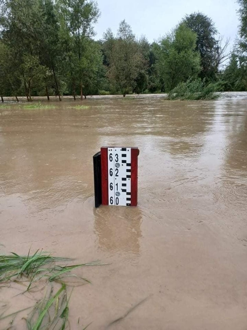 Rzeka Biała w gminie Ciężkowicach przekroczyła stan...