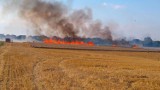 Wielki pożar zboża w Jastrzębiu. Gęsty dym i płomienie [FOTO, WIDEO]