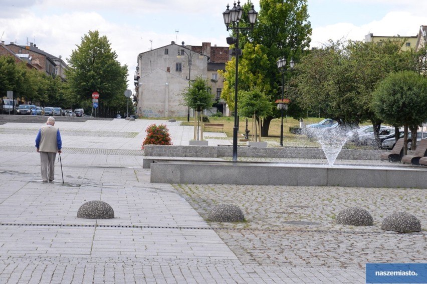 Stary Rynek i plac Wolności we Włocławku coraz bardziej zielone [zdjęcia]