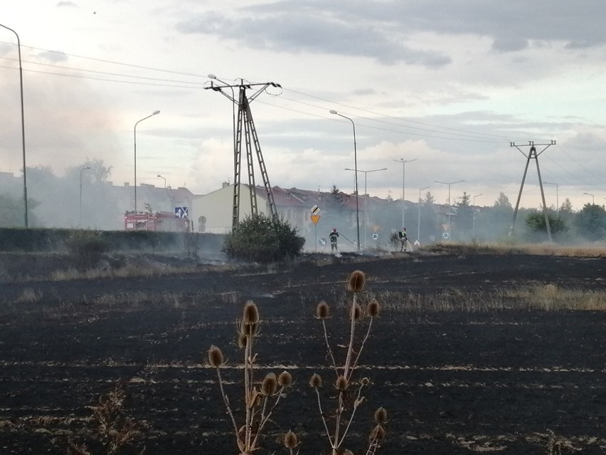 Pożar na osiedlu Piekary w Legnicy. Była obawa, że zajmą się garaże! [ZDJĘCIA]