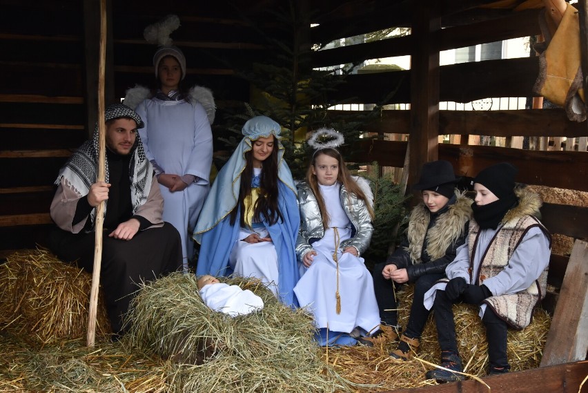 Szymbark. Szopka, a w niej struś emu, alpaki, króliki, kury, owce, kucyk i inne zwierzaki. Nad wszystkim górują kolędnicy [ZDJĘCIA]