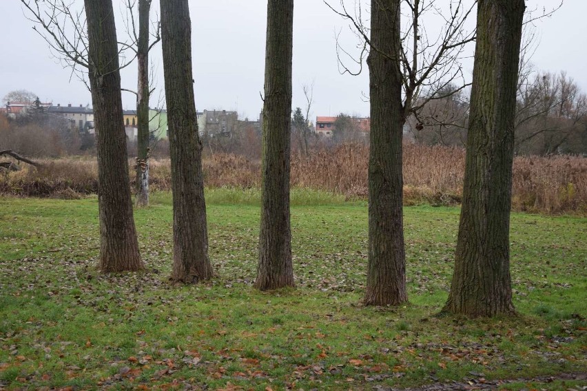 Księży Kacerek w Wągrowcu ma przejść rewitalizację