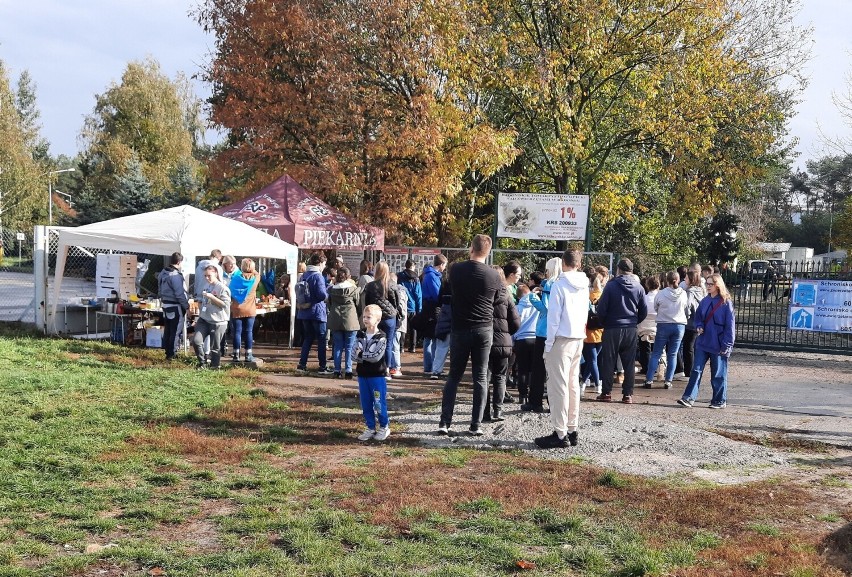 Około 200 osób wzięło udział w akcji „Dzień kundelka” w Radomiu. Wszystkie psy ze schroniska wyszły na spacer. Zobacz zdjęcia