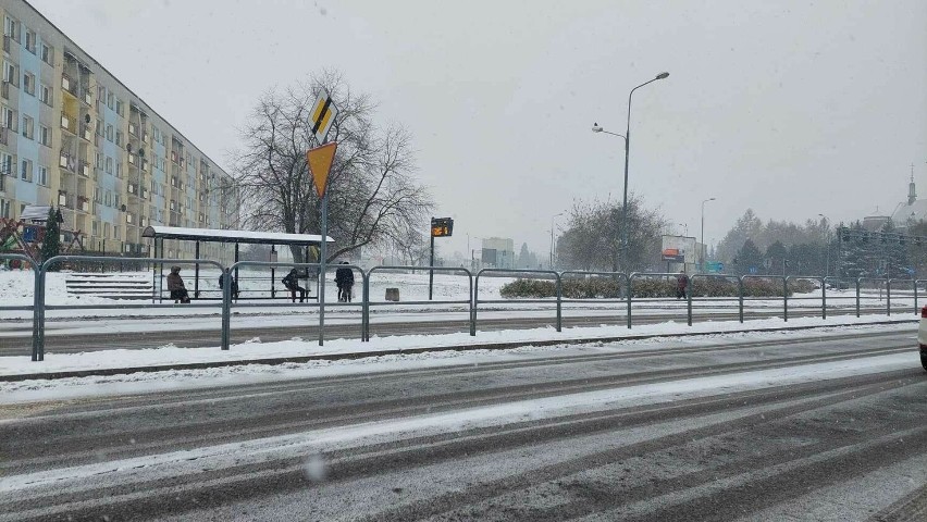 Zimowy krajobraz w Radomiu. Ulice i chodniki zasypane śniegiem. Zobacz zdjęcia