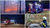 Pożar lasu w Skudzawach koło Rypina. Z ogniem walczyli strażacy z niemal całego powiatu [05.04.22, zdjęcia]