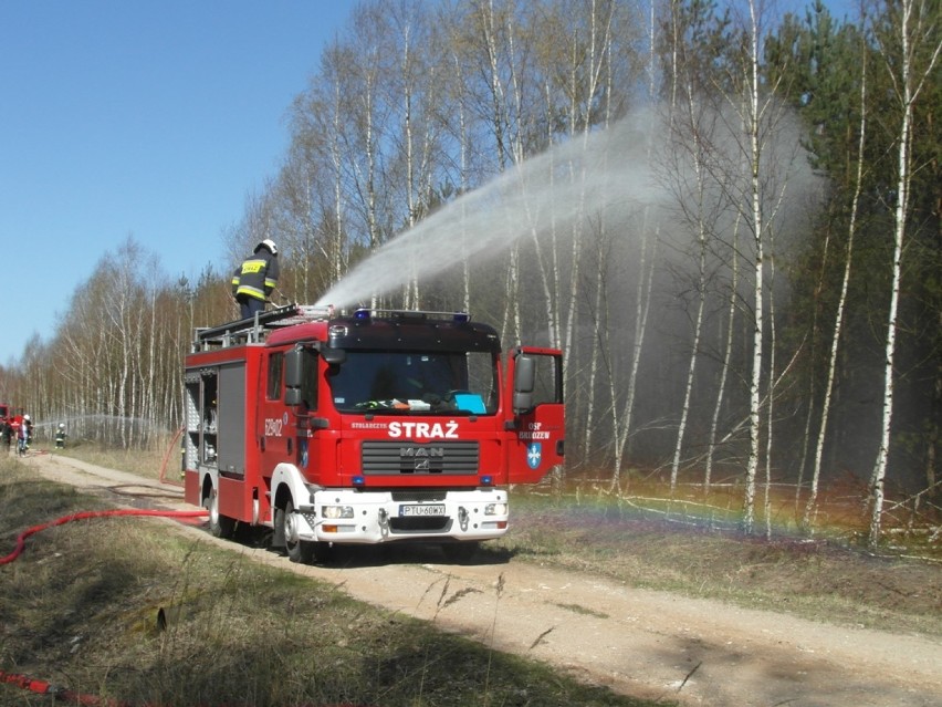 KP PSP w Turku: Ćwiczyli gaszenie pożaru w lesie