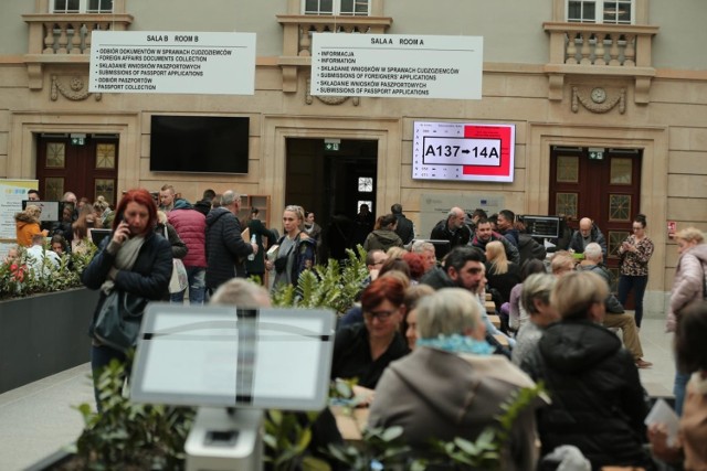 System kolejkowy, który teoretycznie ma ułatwiać rejestrację petentów jest kompletnie zapchany