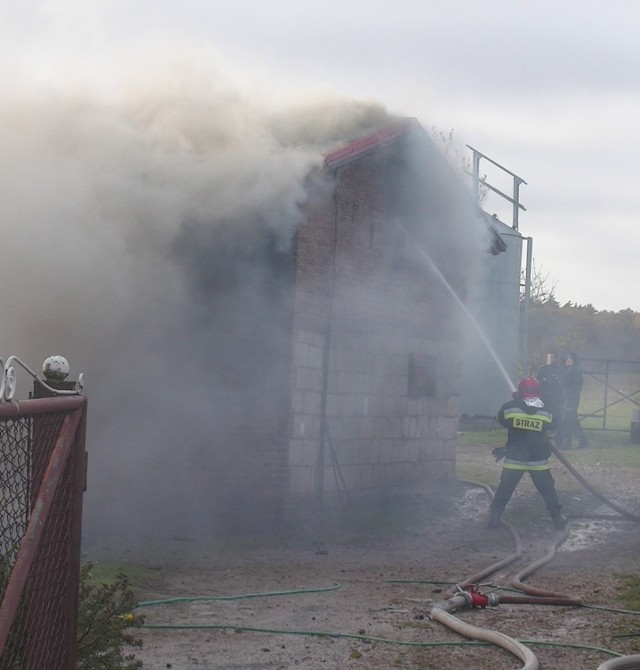 Pożar chlewu w Sławutowie 23.10.2015