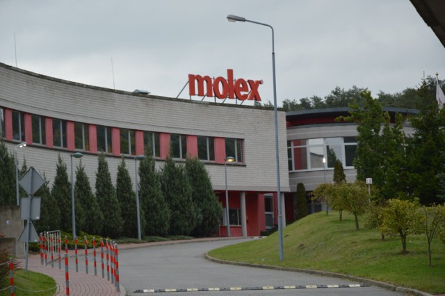 Molex zajmuje się produkcją wiązek kablowych na potrzeby telekomunikacji, produkcji sprzętu AGD, sprzętu komputerowego i branży samochodowej. Zatrudnia około 900 osób