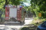 Płonął las na poligonie w Toruniu. Z ogniem walczyło ponad 20 zastępów straży [zdjęcia]