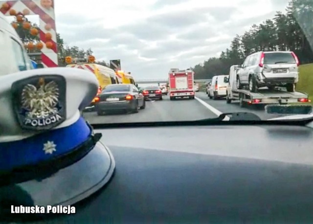 Korytarz życia na autostradzie A2 w powiecie świebodzińskim