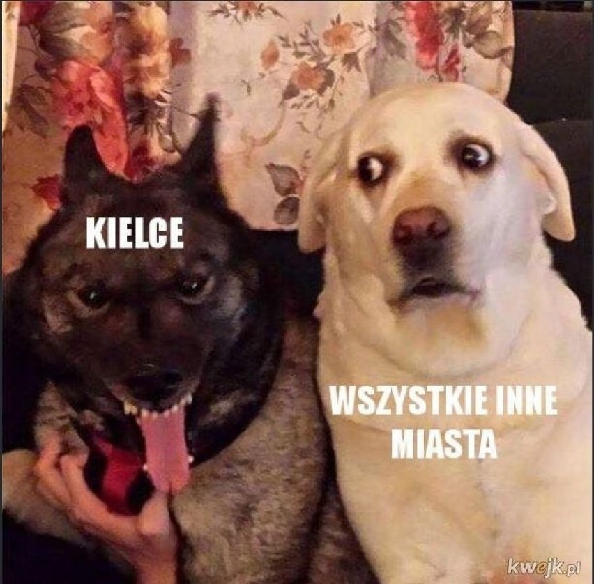 Najlepsze memy o Kielcach. Z czego szydzą internauci? Zobaczcie memy i śmieszne obrazki o Kielcach