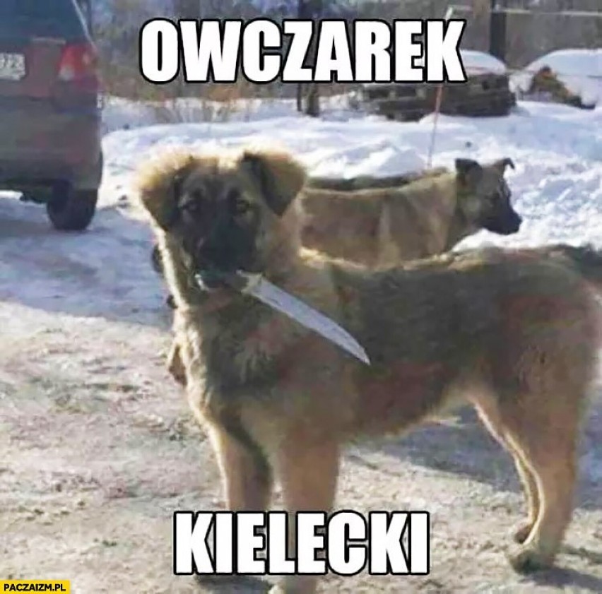 Najlepsze memy o Kielcach. Z czego szydzą internauci? Zobaczcie memy i śmieszne obrazki o Kielcach