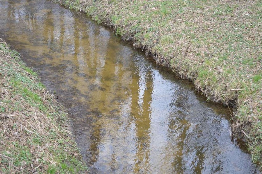 Rzeka Flinta w okolicach Grabówki