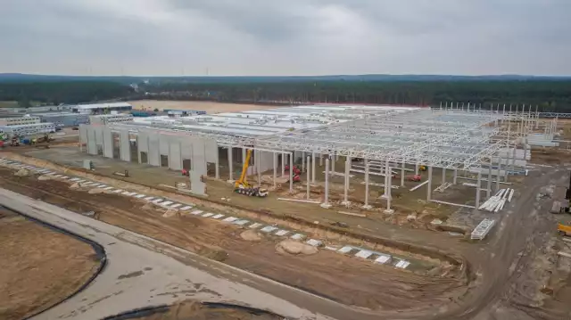 Fabryka Tesli Gigafactory 4 powstaje w gminie Grünheide pod Berlinem, około 60 kilometrów od granicy z Polską