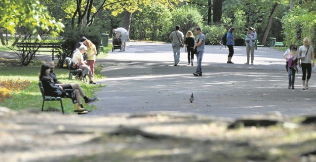 W przyszłorocznym budżecie Krakowa 130 mln zł zostanie przeznaczonych na zieleń, w tym na rewitalizację parków