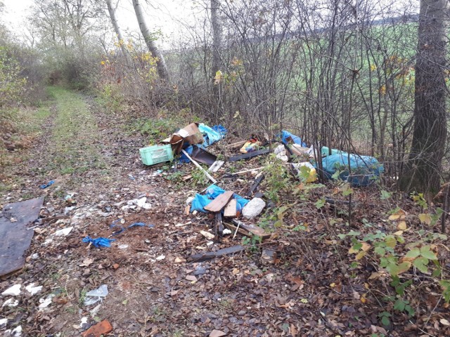 Urzędnicy alarmują! Tak wyglądają dzikie wysypiska śmieci w gminie Śrem