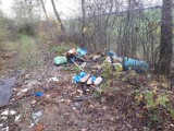Urzędnicy alarmują! Tak wyglądają dzikie wysypiska śmieci w gminie Śrem [ZDJĘCIA]