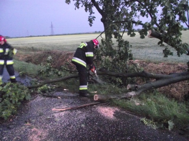 Prawie 100 interwencji strażaków z powodu wiatru