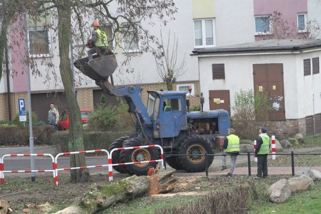 Wycinka drzew na Słowackiego w Złotowie