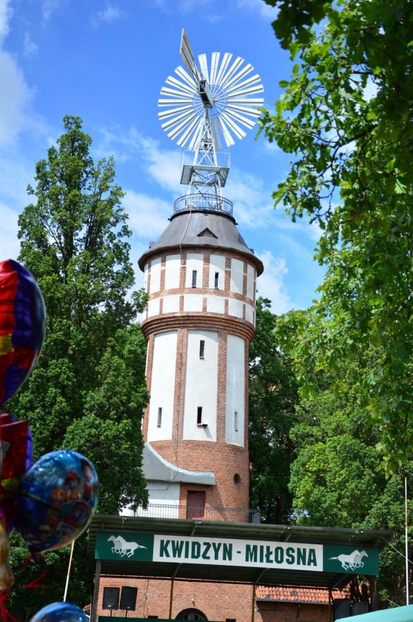 Dzień Otwarty na Terenach Rekreacyjno-Wypoczynkowych Miłosna. Zobaczcie, jak było! [ZDJĘCIA]