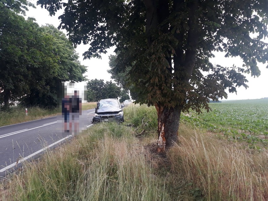Kolizja na granicy gminy Stargard i gminy Dolice. Kierujący BMW uderzył w drzewo. ZDJĘCIA       