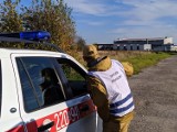 Prokuratora wszczęła śledztwo w sprawie katastrofy lotniczej w Kościelcu pod Częstochową. Zginęły dwie osoby