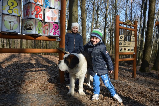 Zielony Las to miejsce do którego chętnie ciągną mieszkańcy Żar, ze swoimi pupilami. Tak jak Maja z bratem Stasiem no i ze swoim ukochanym bernardynem.