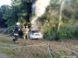 Groźny pożar samochodu we Wtelnie pod Koronowem. Auto zjechało z drogi i uderzyło w drzewo [zdjęcia]