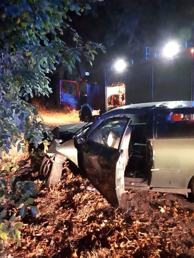 Gmina Stegna. Jedna osoba została ranna w wypadku, do którego doszło w miejscowości Wiśniówka. Samochód osobowy uderzył w drzewo.