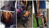 Takie widoki tylko w komunikacji miejskiej: "Zmęczone siatki", pies w kurtce i... mężczyzna z piłą ZDJĘCIA