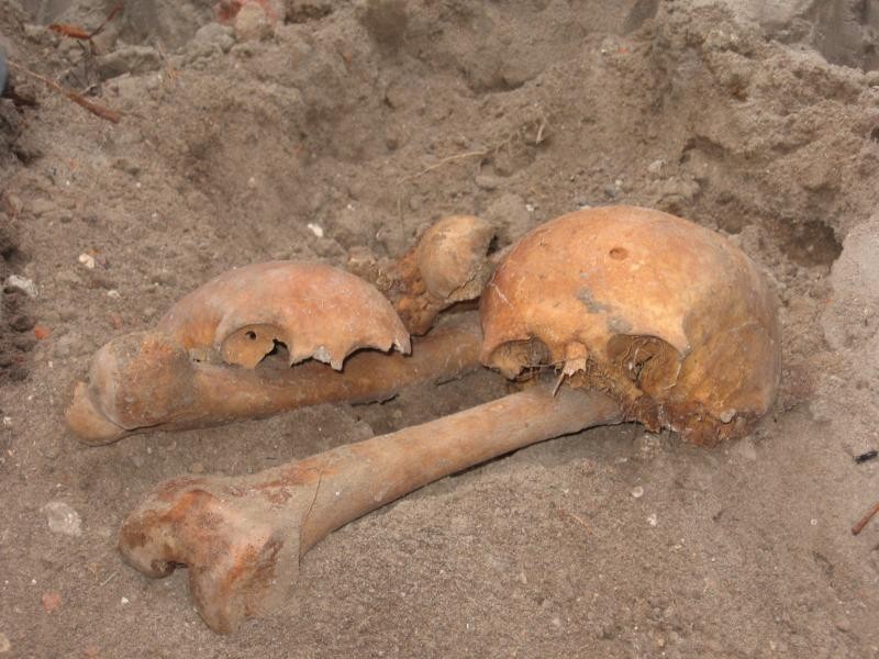 Kości w Gardei: W trakcie prac modernizacyjnych znaleziono kości sprzed II wojny światowej