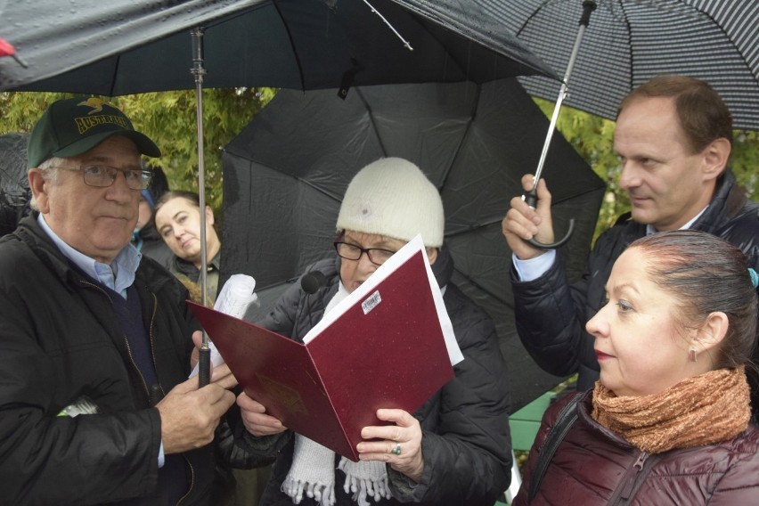 W Aleksandrowie Kujawskim posadzono Dąb Stulecia. Będzie upamiętniać szczególne wydarzenie [zdjęcia]