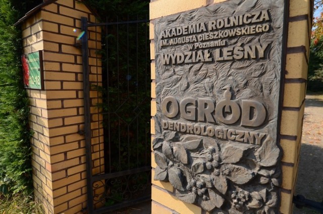 Ogród Dendrologiczny w Poznaniu  zaprsza na niedzielną wycieczkę z przewodnikiem