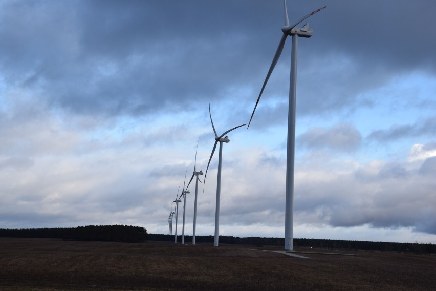 42 elektrownie wiatrowe stoją w kilometrowych rzędach