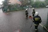 Połamane gałęzie i drzewa, zalane ulice i domy. Strażacy z OSP Bogdaniec mieli pełne ręce roboty. Kilka godzin usuwali skutki nawałnicy