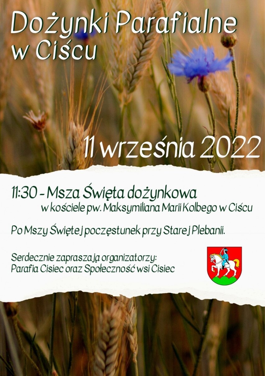 Beskidy. Weekendowa moc atrakcji w regionie, sprawdź gdzie odbędą się najciekawsze wydarzenia