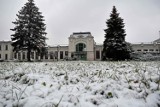 Zima w Nowym Sączu. Spadł śnieg, miasto przykryła cienka warstwa białego puchu [ZDJĘCIA]