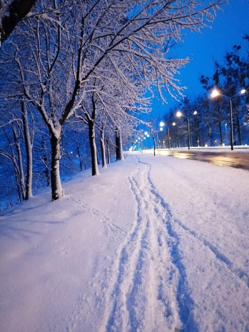 Piękna zima w Żorach. Ileż śniegu nasypało! [ZDJĘCIA MIESZKAŃCÓW]
