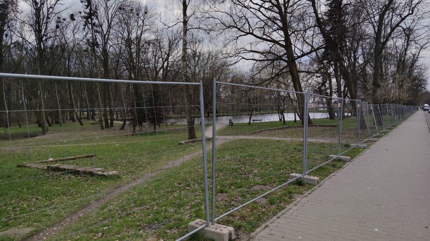 Rozpoczyna się rewitalizacja parku Belzackiego w Piotrkowie....