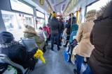 Czym różni się prawdziwy poznaniak od innych pasażerów w tramwaju? Sprawdź, czy go rozpoznasz, rozwiązując quiz