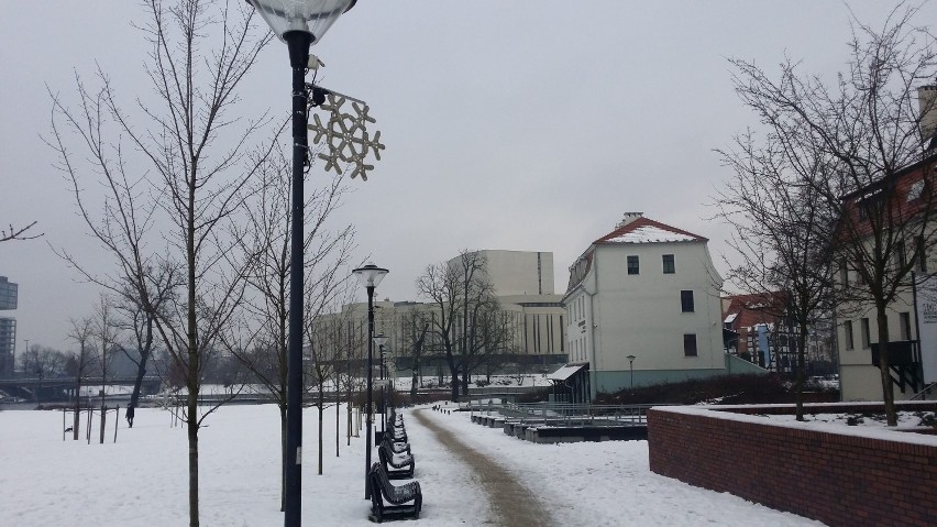 Bydgoszcz zimą. Biała Wyspa Młyńska [zdjęcia]