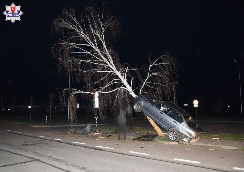Wypadek w Janowie Lubelskim. Samochód wylądował na drzewie. Cztery osoby w szpitalu (ZDJĘCIA)
