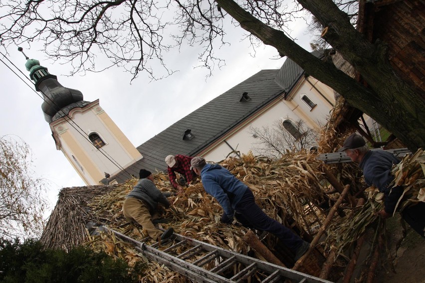 Słoma kukurydziana trafiła już na dachy stajenek