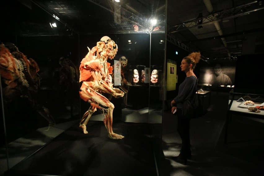 Objazdowa wystawa ludzkich ciał „Body Worlds” autorstwa dr....