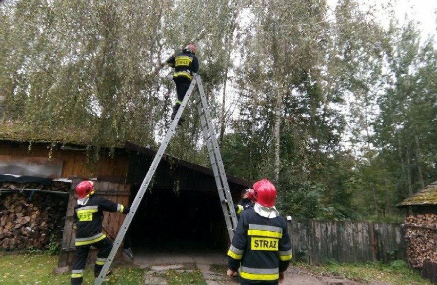 Międzynarodowy Dzień Strażaka. Zobaczcie zdjęcia największych twardzieli z Dębicy i powiatu!