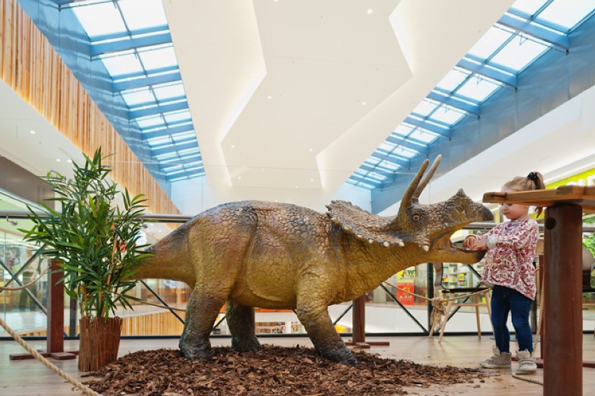 W Alei Bielany możemy oglądać wystawę dinozaurów, na której...